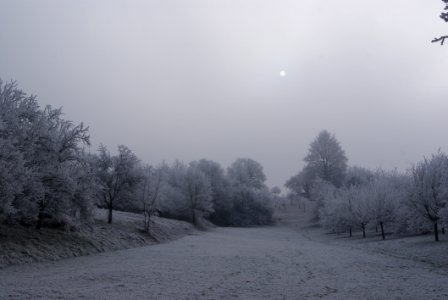 Winter Snow Fog Freezing photo