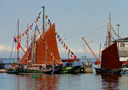 Sailing Ship Tall Ship Caravel Water Transportation photo