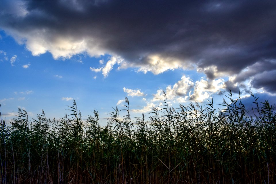 Sky Cloud Field Atmosphere