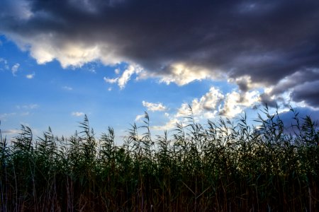 Sky Cloud Field Atmosphere