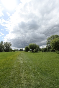 Landscape meadow green