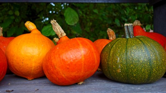 Vegetable Winter Squash Calabaza Cucurbita