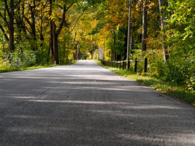 Road Asphalt Path Lane
