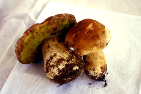 Ingredient Matsutake