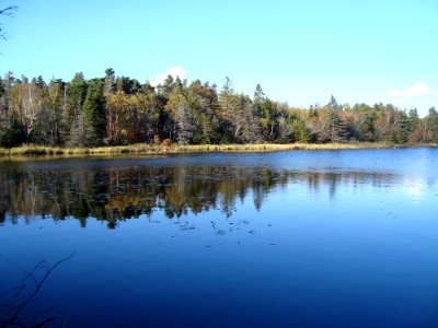 Reflection Water Lake Nature photo
