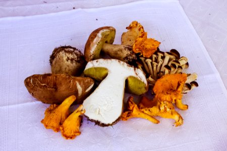 Food Vegetarian Food Ingredient