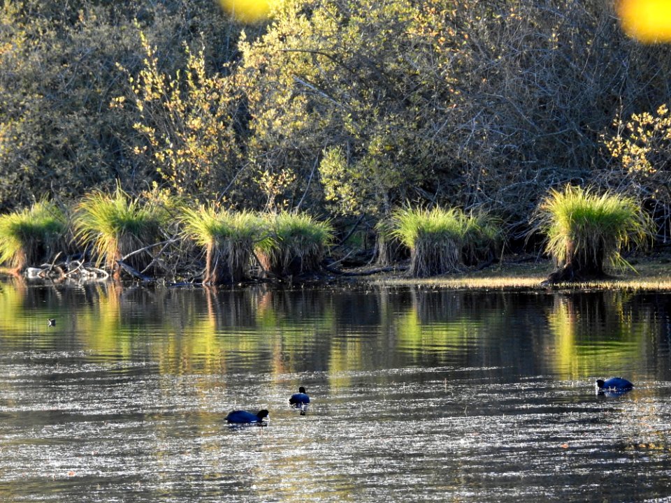 Water Reflection Nature Waterway