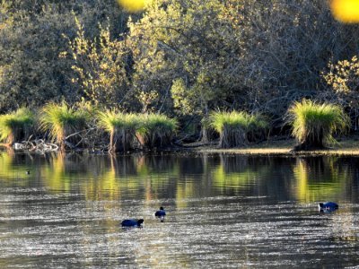 Water Reflection Nature Waterway photo