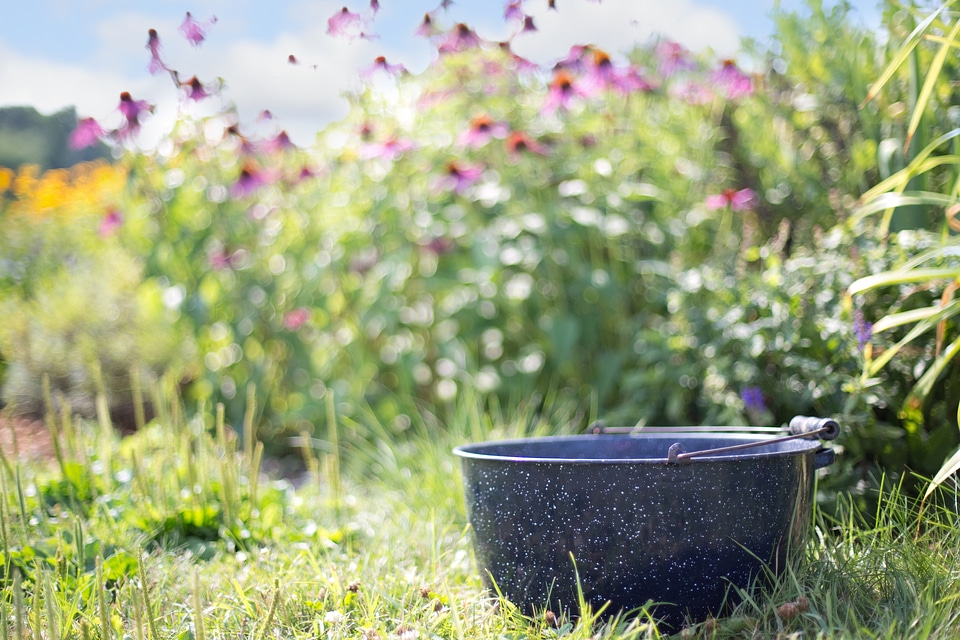Nature outdoors antique
