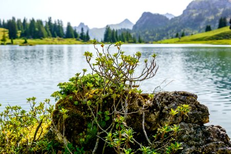 Vegetation Water Lake Nature Reserve
