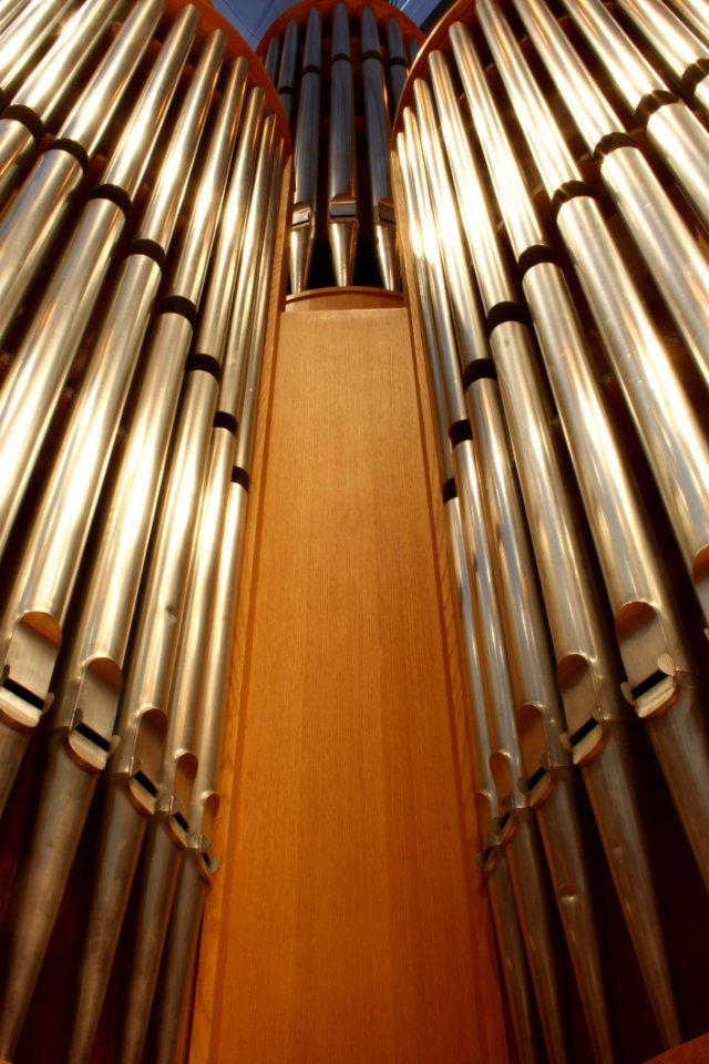 Organ Lighting Organ Pipe Wind Instrument