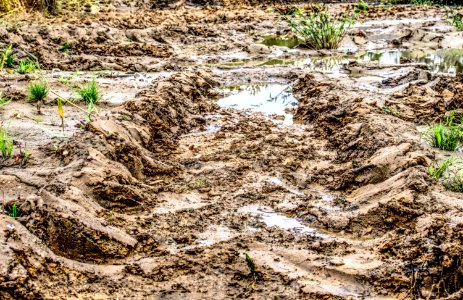 Soil Geological Phenomenon Mud Grass photo