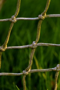 Flora Branch Twig Plant