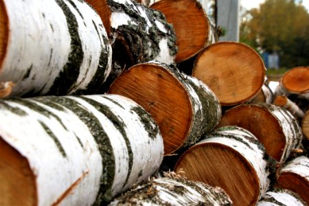 Wood