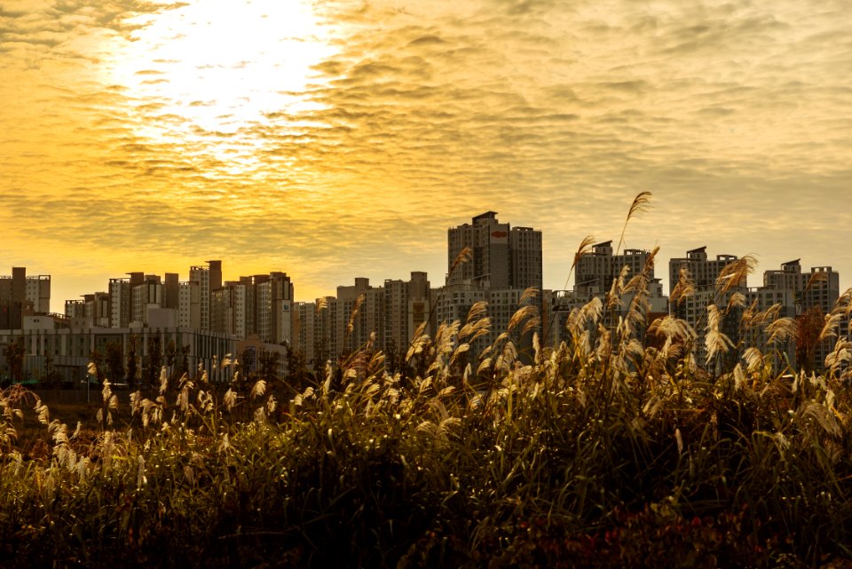 Skyline City Cityscape Sky