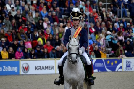 Equestrian Horse Equestrianism English Riding photo