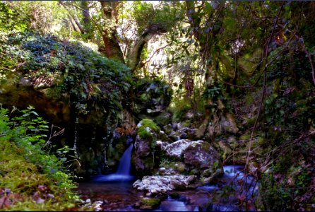 Water Nature Vegetation Nature Reserve