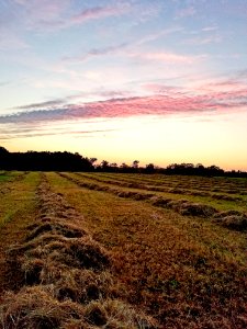 Sky Field Grassland Prairie