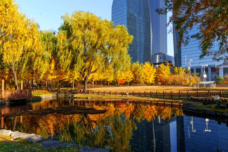 Reflection Waterway Nature Water