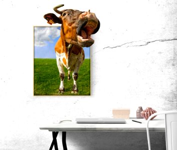 Snout Livestock Cattle Like Mammal