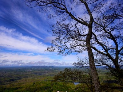 Sky Tree Cloud Nature photo