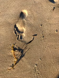 Sand Footprint Shadow Geology photo