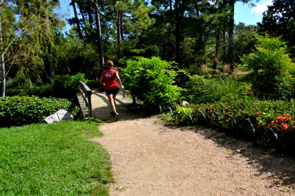 Plant Path Garden Botanical Garden