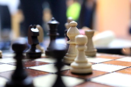Indoor Games And Sports Chess Games Board Game photo
