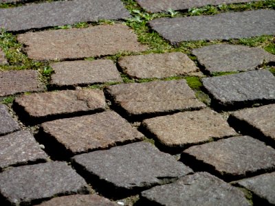 Walkway Cobblestone Path Grass