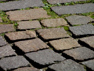 Walkway Cobblestone Path Grass photo