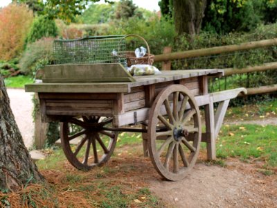 Cart Wagon Vehicle Carriage
