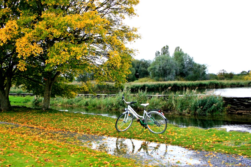 Road Bicycle Nature Bicycle Yellow