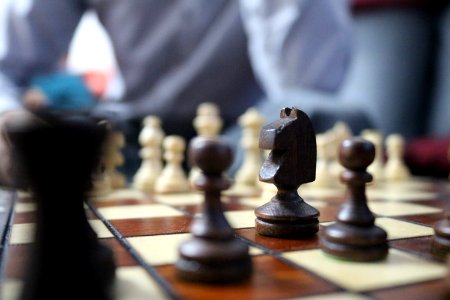 Indoor Games And Sports Chess Games Board Game photo