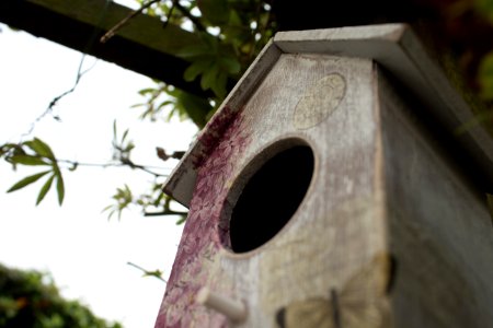 Birdhouse Bird Feeder