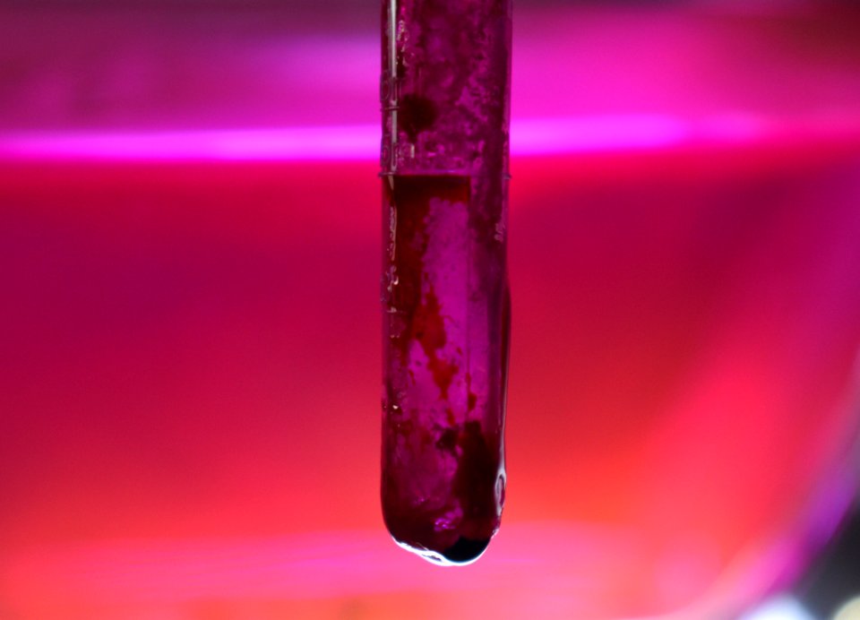 Magenta Water Macro Photography Liquid