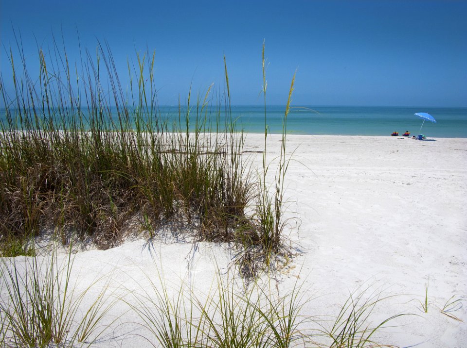 Sea Beach Body Of Water Shore