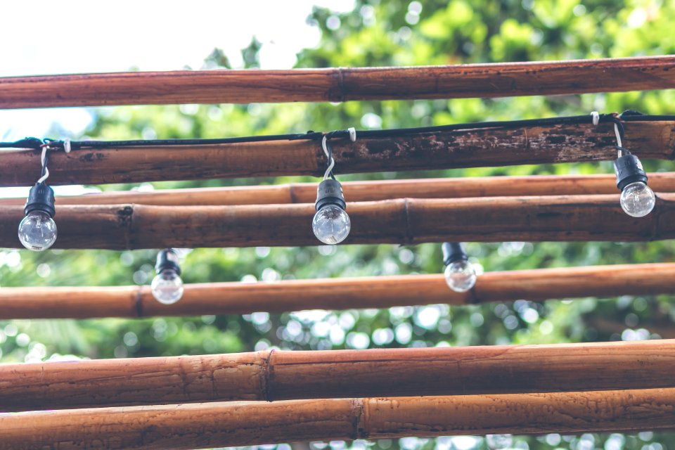 Shallow Focus Photography Of Light Bulb Hanging On Brown Wooden Sticks photo