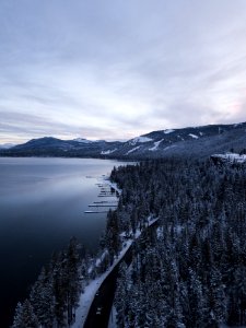 Bird Eyeview Photography Of Forest