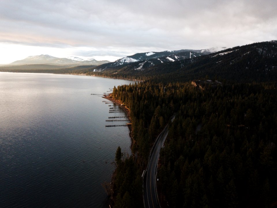Aerial Photography Of Dense Forest Near Body Of Water
