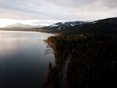 Aerial Photography Of Dense Forest Near Body Of Water