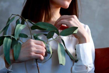 Woman Holding Green Leaf Plant photo