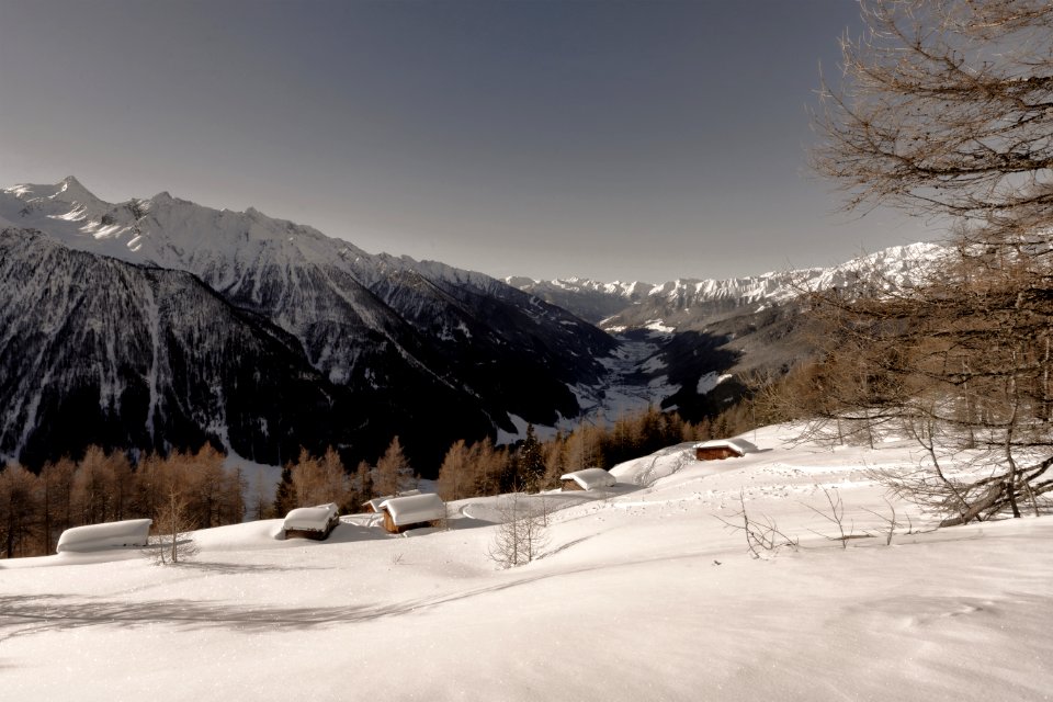 Brown Leaf Trees Near Mountain Cover By Snow At Daytime