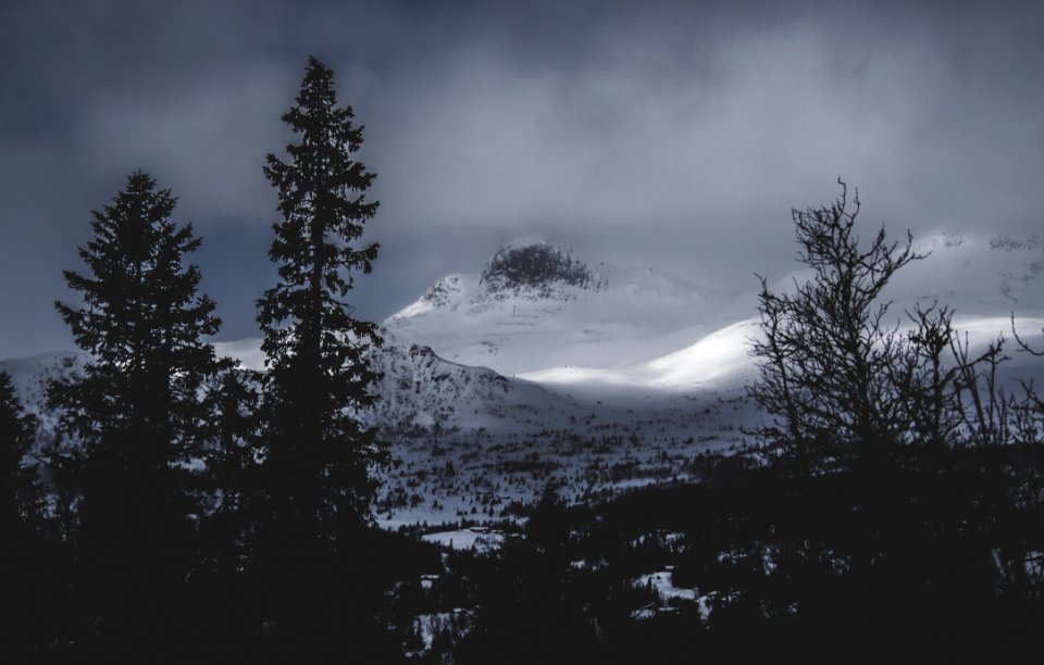 Glacier Mountains Near The Forest