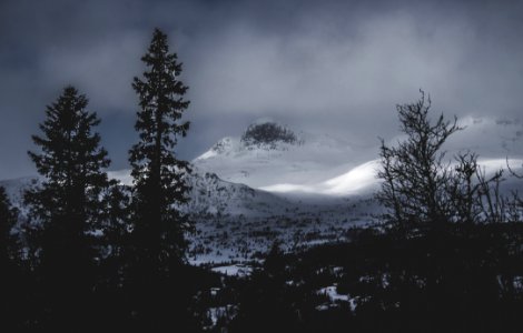 Glacier Mountains Near The Forest