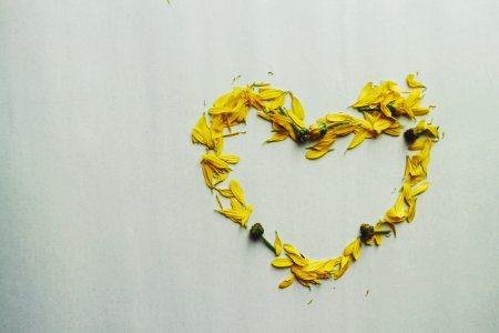 Heart Shape Yellow Flower Petals