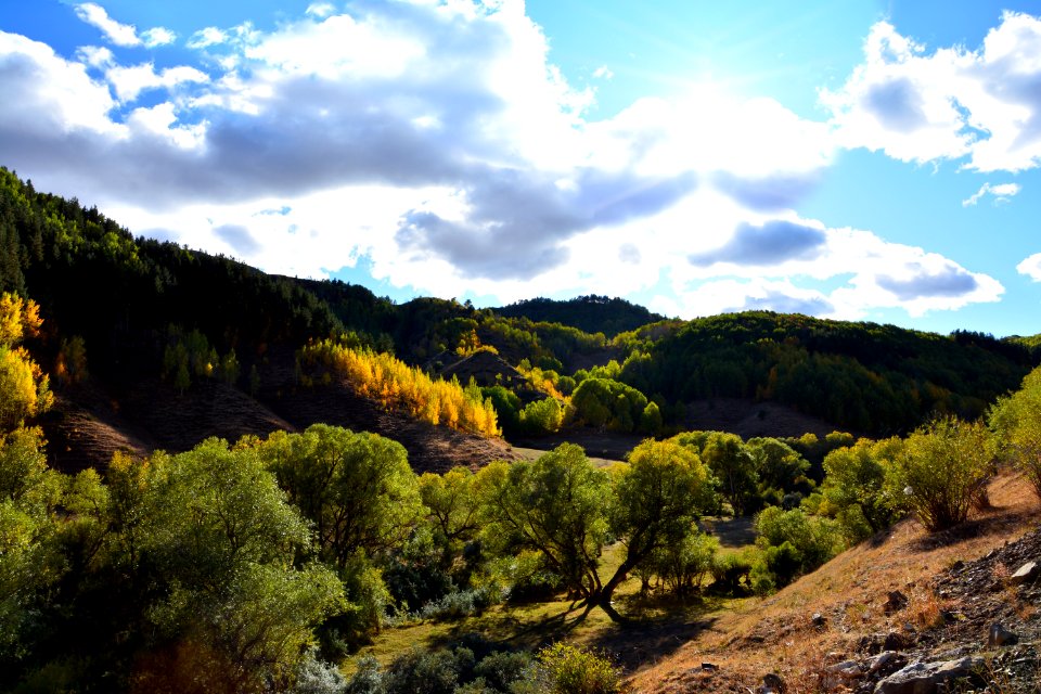 Nature Sky Wilderness Vegetation