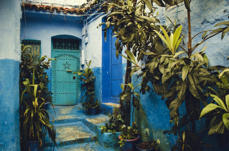 Teal Steel Door Near Plants