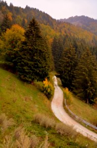 Nature Mountainous Landforms Road Path