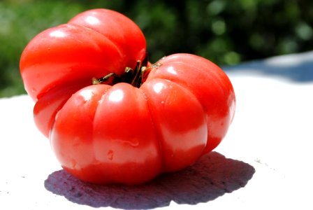 Natural Foods Vegetable Tomato Plum Tomato