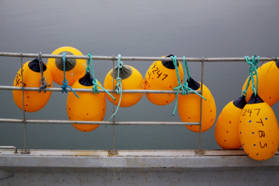 Yellow Orange